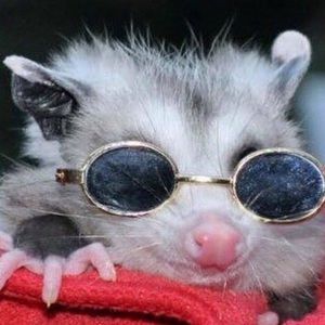 Meet your Posher, Jocelyn